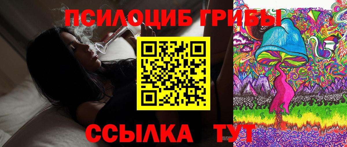 Гусь-Хрустальный  Псилоцибиновые грибы GOLDEN TEACHER  Вход с VPN 